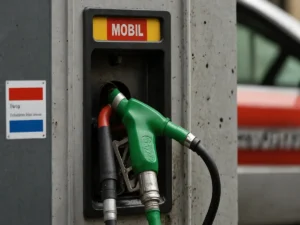 Accise Mobili sui Carburanti: Il Governo Valuta Nuove Misure, Parla la Premier Meloni